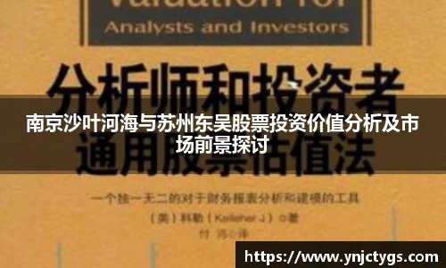 南京沙叶河海与苏州东吴股票投资价值分析及市场前景探讨